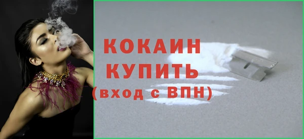 ПСИЛОЦИБИНОВЫЕ ГРИБЫ Костерёво