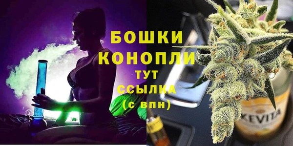 ПСИЛОЦИБИНОВЫЕ ГРИБЫ Костерёво