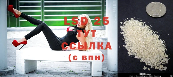ПСИЛОЦИБИНОВЫЕ ГРИБЫ Костерёво