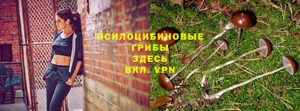MESCALINE Корсаков